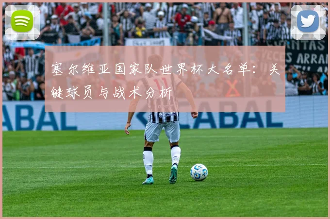 塞尔维亚国家队世界杯大名单：关键球员与战术分析