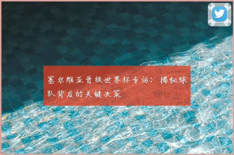 塞尔维亚晋级世界杯专访：揭秘球队背后的关键决策