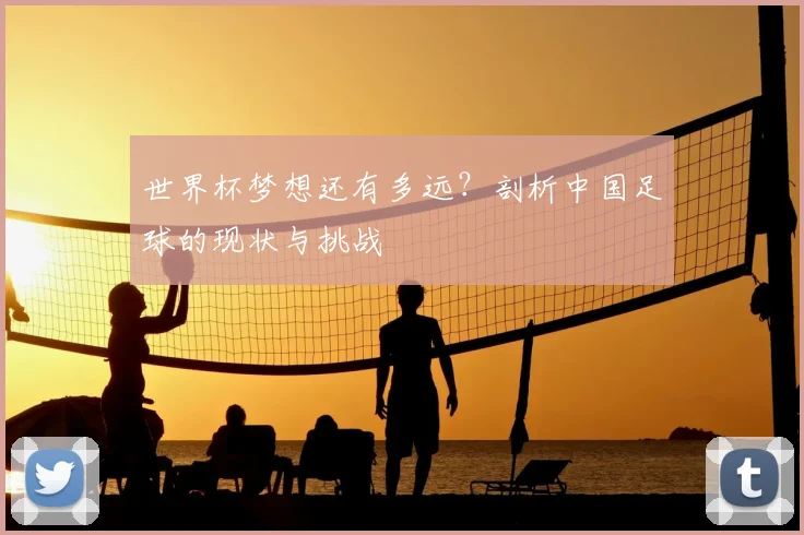 世界杯梦想还有多远？剖析中国足球的现状与挑战