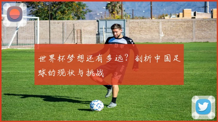 世界杯梦想还有多远？剖析中国足球的现状与挑战